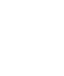 ZON Global Logo