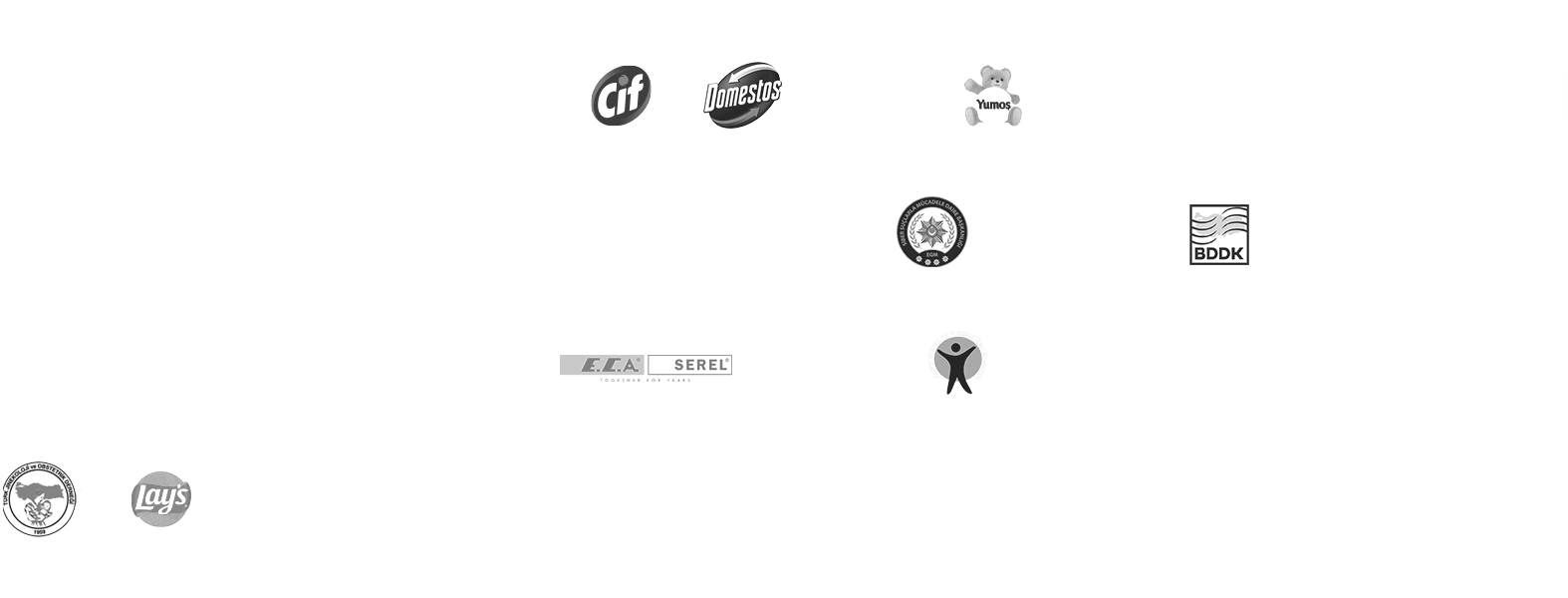 ZON Global references